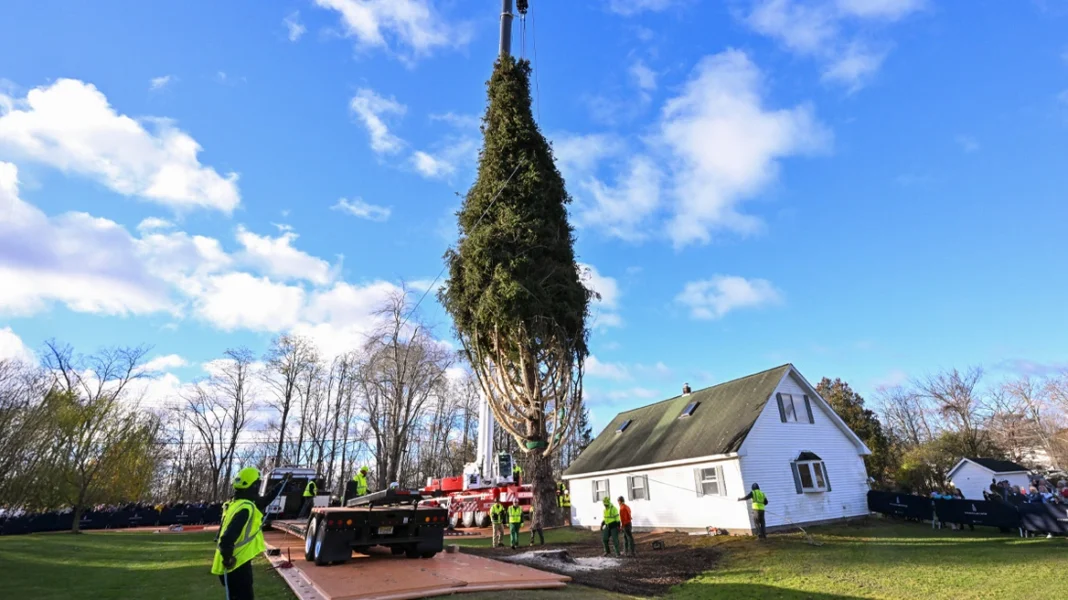 Έλατο 100 ετών από τη Νέα Υόρκη θα στολίσει τα Χριστούγεννα το Rockefeller Center