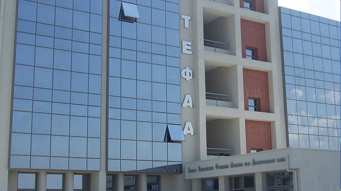 Λύκος εμφανίστηκε και στην αυλή του ΤΕΦΑΑ στη Θεσσαλονίκη, ακυρώθηκε μάθημα