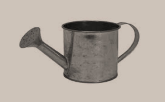 Εσύ, τι θα ποτίσεις… για να ανθίσει;