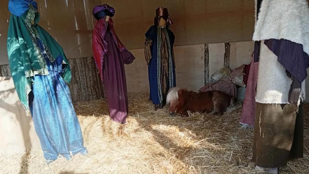 Βόλος: Αντιδράσεις από φιλόζωους για το ζωντανό αλογάκι πόνυ σε φάτνη