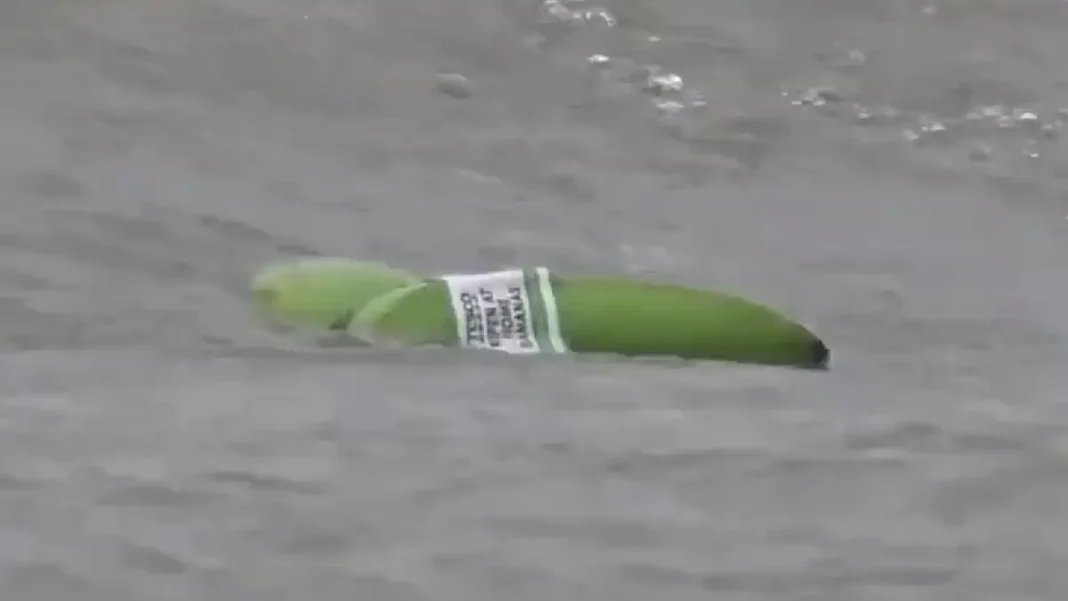 Γέμισαν μπανάνες οι ακτές της Αγγλίας: Ξεβράστηκαν μετά την ανατροπή φορτηγού πλοίου