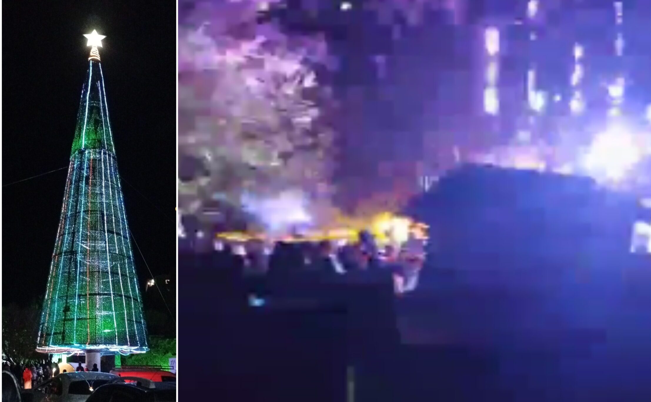 Το μεγαλύτερο δέντρο στην Ευρώπη, φωταγωγήθηκε στην είσοδο του φαραγγιού της Σαμαριάς – Βίντεο