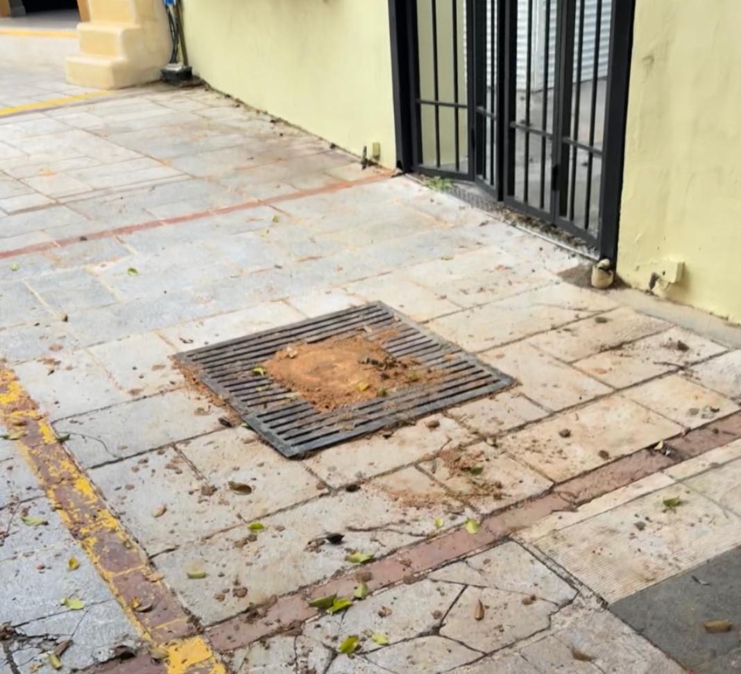 Απομακρύνθηκε το δέντρο που έπεσε στο κέντρο του Ηρακλείου – Βίντεο & φωτογραφίες