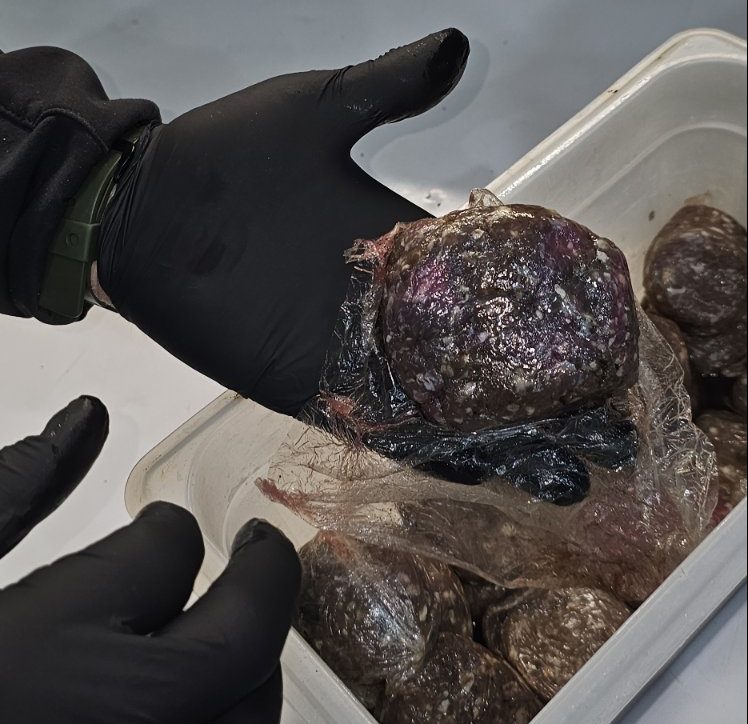 Χαλασμένα μπιφτέκια, βρώμικους πάγκους και άθλιες συνθήκες υγιεινής εντόπισαν έλεγχοι της Περιφέρειας Αττικής