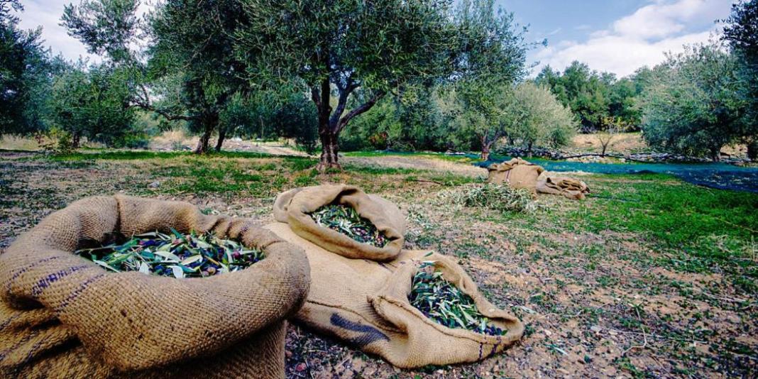 Δύσκολες εποχές για την ανατολική Κρήτη