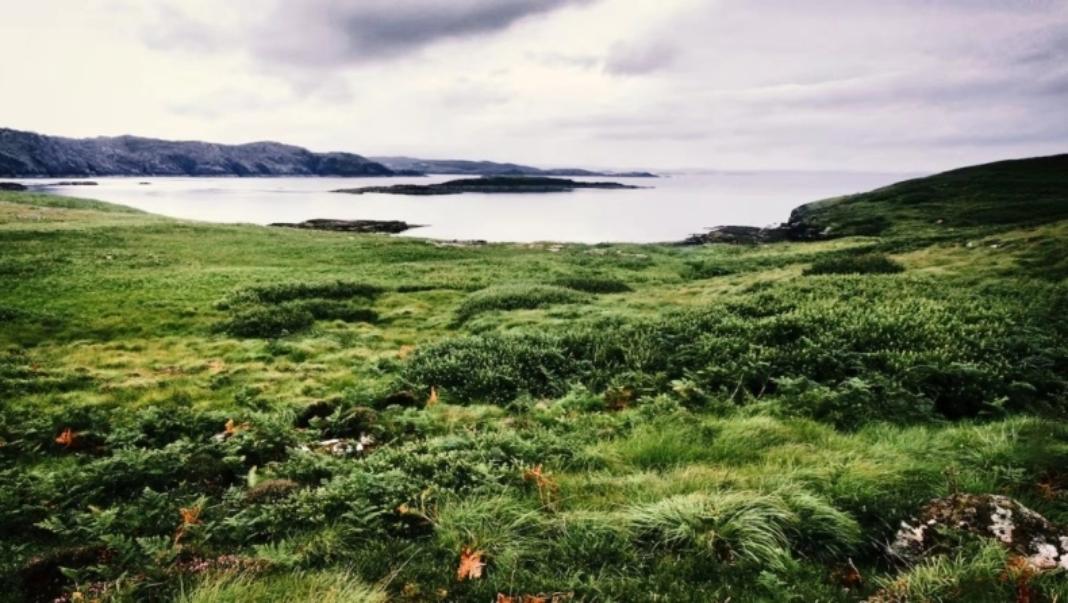 Μισθός 30.000 ευρώ για 6 μήνες: Ζητούνται άτομα για εργασία σε έρημο νησί