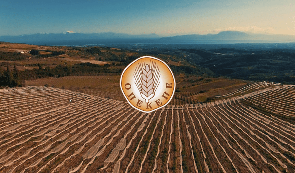 Νέες πληρωμές από τον ΟΠΕΚΕΠΕ: Ποιους αφορά