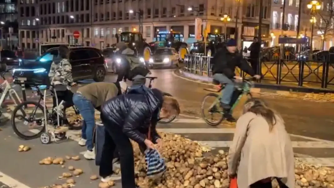 Κάτοικοι στις Βρυξέλλες μαζεύουν πατάτες από το δρόμο