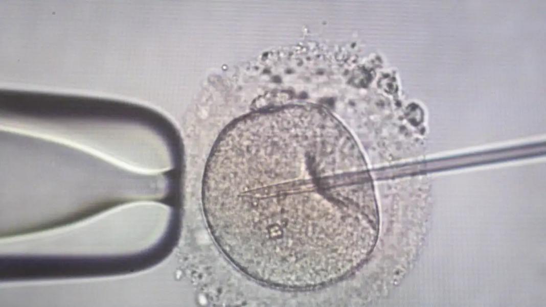 Αγωνία για 11 οικογένειες στην Ελλάδα που έχουν αποκτήσει παιδιά από τον Δανό δότη