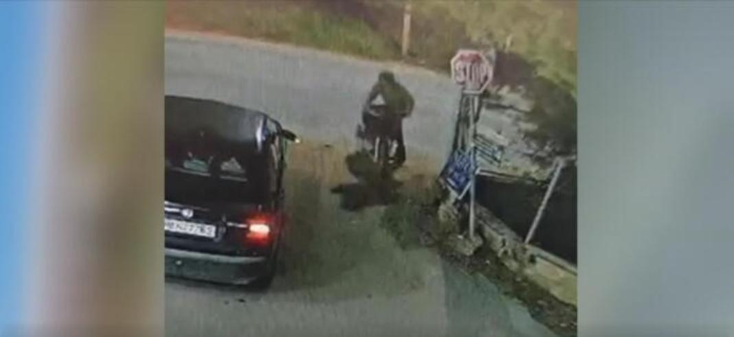 Ηράκλειο: Σκύλος έγινε «ασπίδα» για να σώσει το αφεντικό της από τροχαίο – Βίντεο