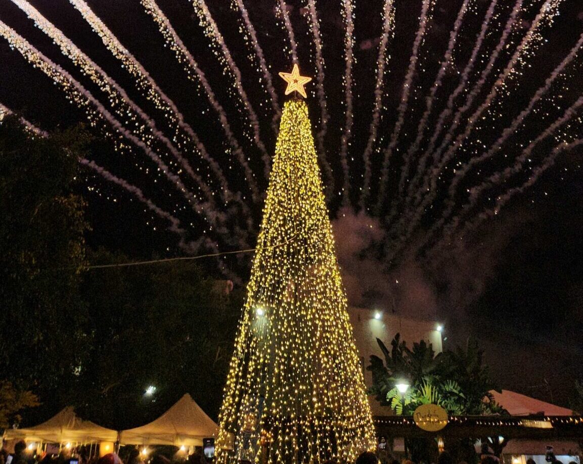 Tην Τετάρτη η φωταγώγηση του Χριστουγεννιάτικου δέντρου του Δήμου Μαλεβιζίου – Πολλές εκπλήξεις για τα παιδιά
