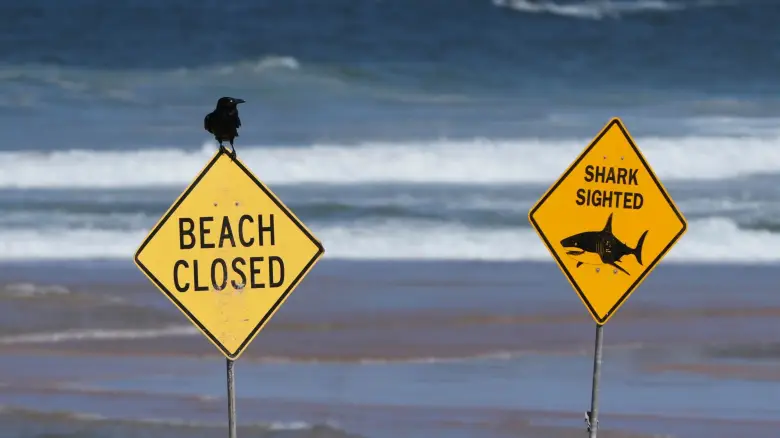 Πέθανε ο 12χρονος που είχε τραυματιστεί σοβαρά από καρχαρία στην Αυστραλία