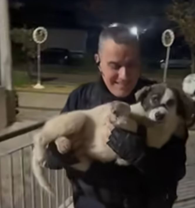 Υπέροχη στιγμή: Aστυνομικός έσωσε χτυπημένο κουτάβι – Βίντεο