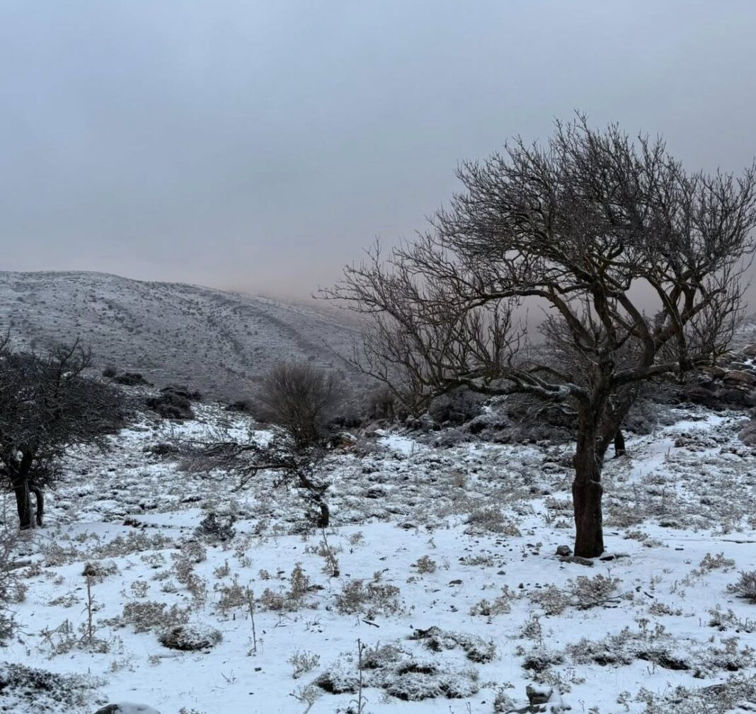 Mετά το «τσουχτερό» κρύο στην Κρήτη και τα χιόνια στα ορεινά, έρχονται… 20αρια!