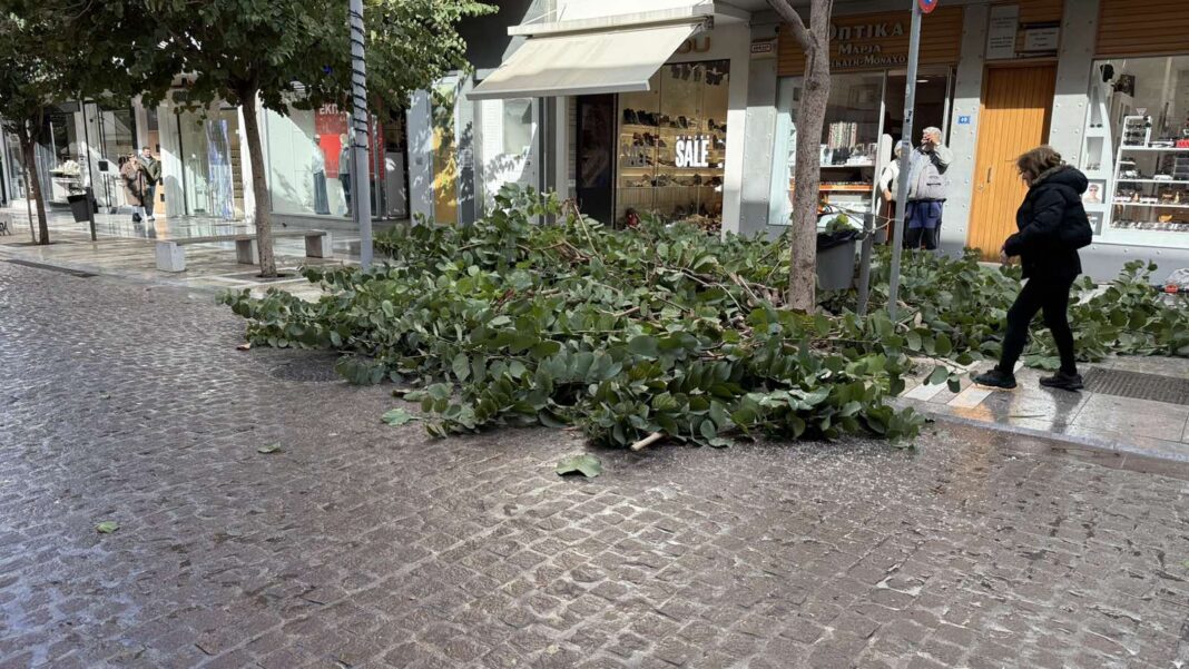 Ηράκλειο: Κόπηκε δέντρο στο κέντρο της πόλης λόγω επικινδυνότητας