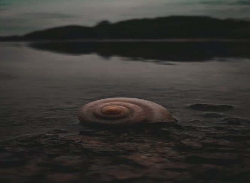 Για όσο ζω κι ανασαίνω θα θυμάμαι…το σημάδι σου!