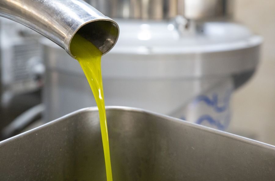 Ρέθυμνο: Παιδιά και γονείς μαθαίνουν για το εξαιρετικά παρθένο ελαιόλαδο