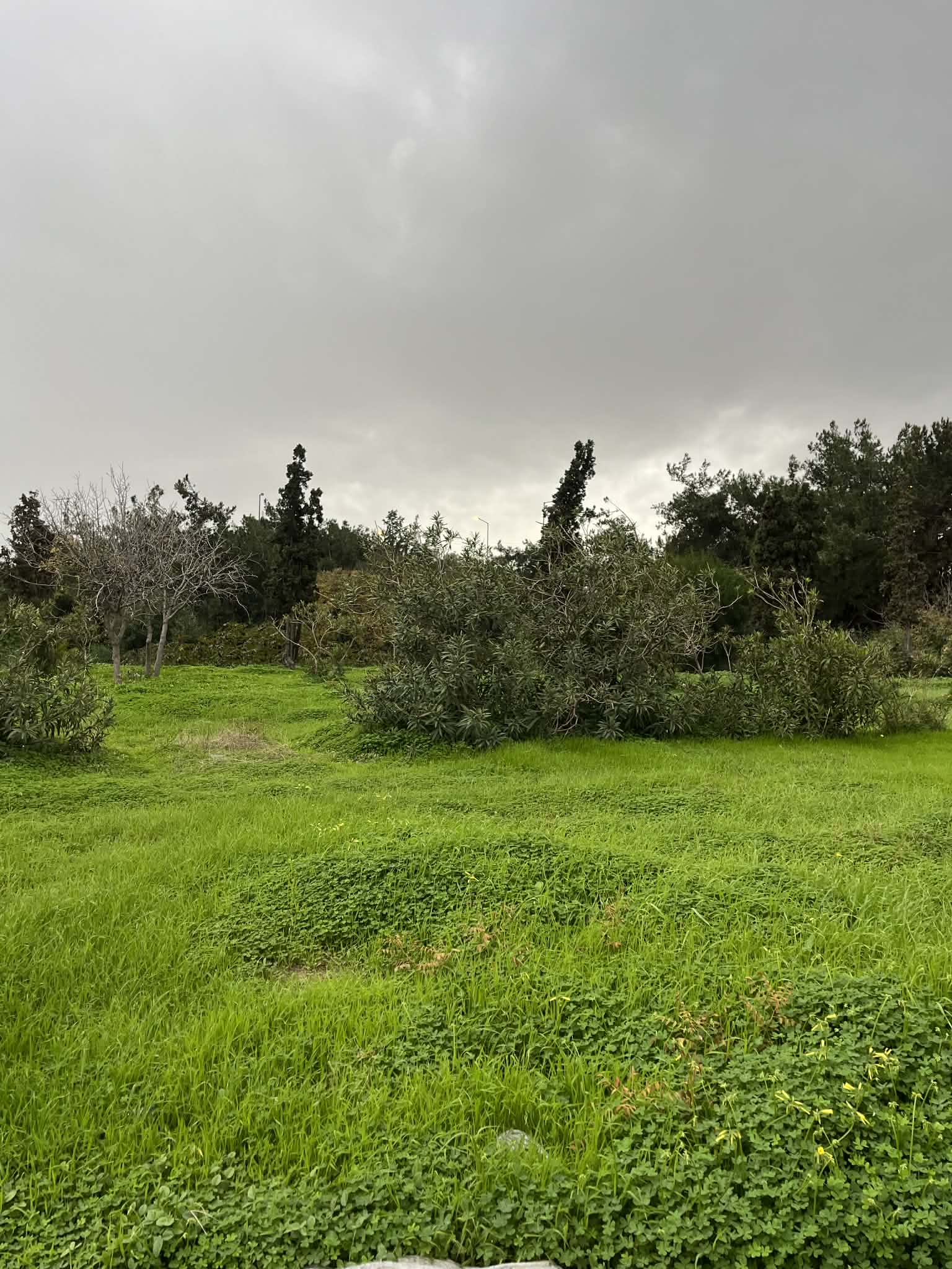 «Καλοκαιρινές» θερμοκρασίες με… βροχή στο Ηράκλειο και 0 βαθμούς στα Ανώγεια!