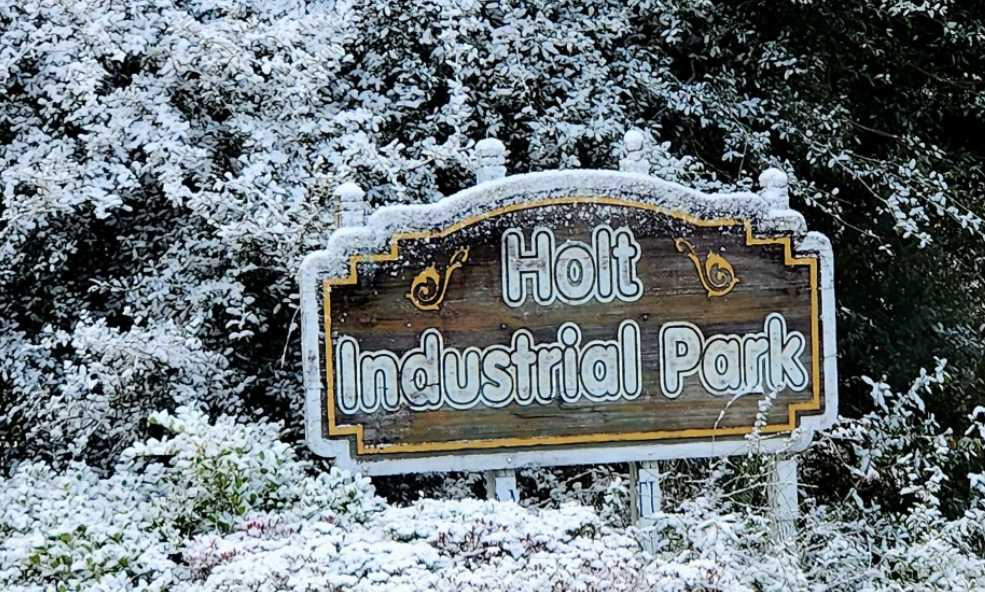 ΗΠΑ: Σπάνια χιονόπτωση στη Φλόριντα για δεύτερη χρονιά