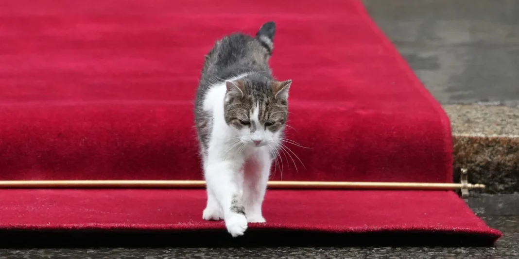 Απρόοπτο: Ο φωτογράφος του Πολωνού προέδρου παραλίγο να πατήσει τον Λάρι, τον διάσημο γάτο της Ντάουνινγκ Στριτ