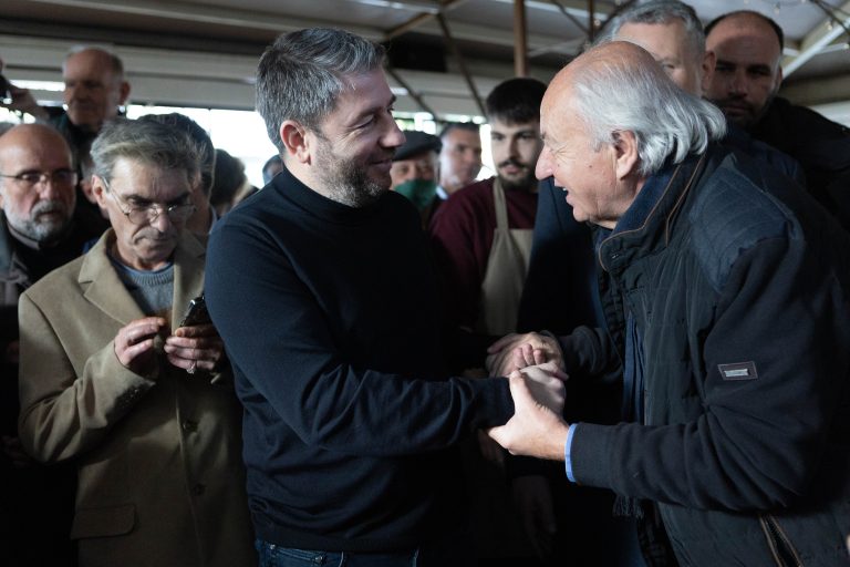 Σφοδρή επίθεση στην κυβέρνηση από Φάμελλο και Ανδρουλάκη – «Πυρά» και από Τσίπρα