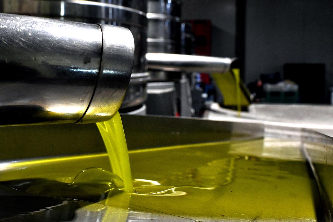 «Να συμπεριληφθούν όλα τα ΠΟΠ και ΠΓΕ προϊόντα της Κρήτης στη συμφωνία ΕΕ – Mercosur»