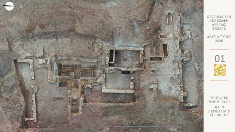 Αρχαία Τενέα Κορίνθου: Μια τυχαία ανακάλυψη έφερε στο φως ανεκτίμητο θησαυρό