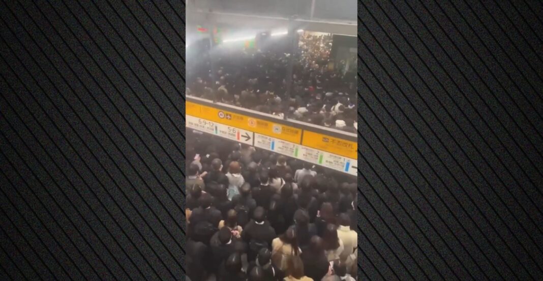 Συνωστισμός αλά ιαπωνικά: Κόπηκε το ρεύμα, παρέλυσαν τα τρένα στο Τόκιο