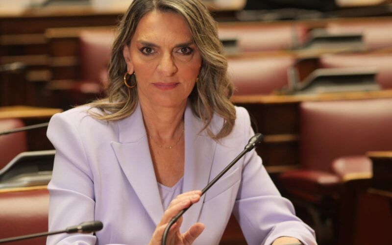 Νέα Αριστερά: Νέα εκπρόσωπος Τύπου η Πέτη Πέρκα - CRETA24